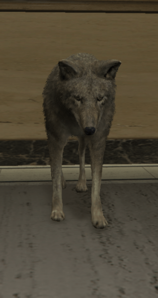 File:Coyote.png