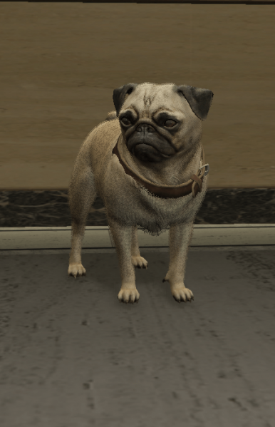 File:Pug.png