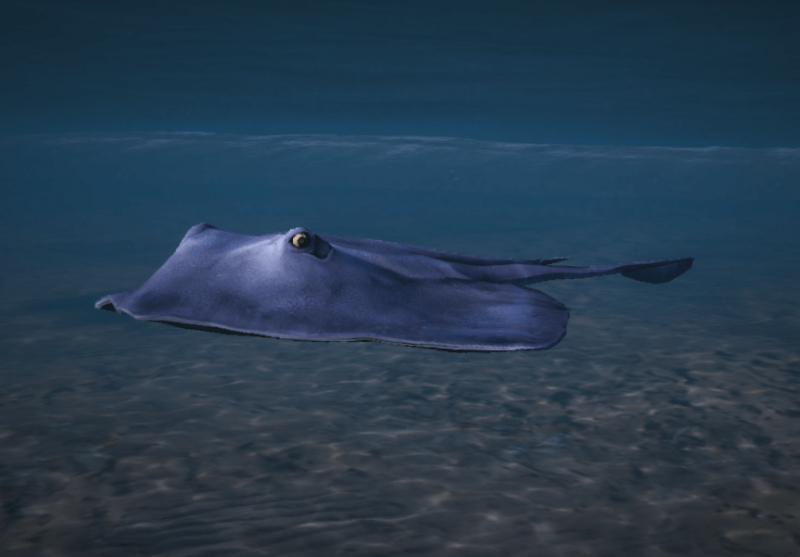 File:Stingray.png