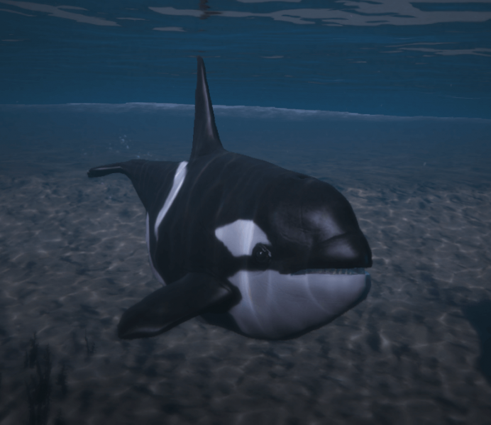 File:KillerWhale.png