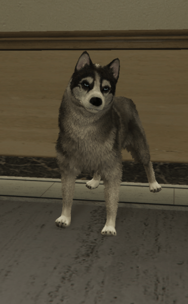 File:Husky.png
