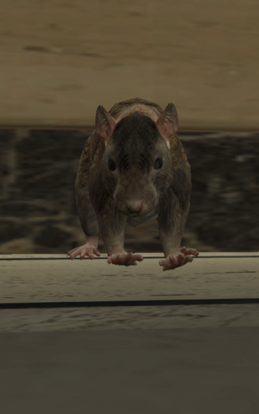 File:Rat.png