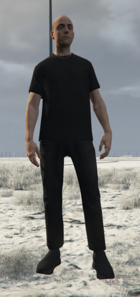 File:0x13360FA9.png