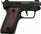 ID: weapon_snspistol Name: SNS Pistol Hash: 3218215474