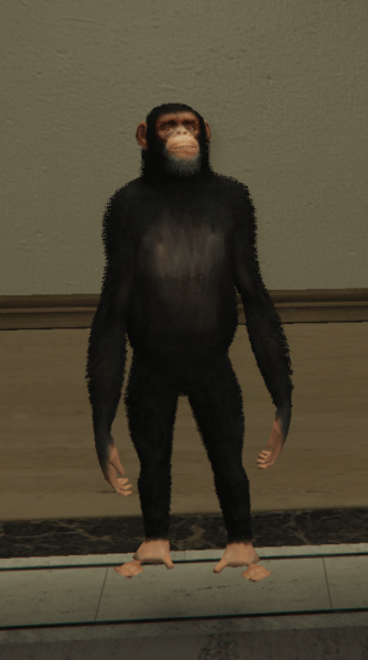 File:Chimp.png